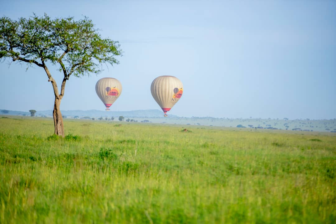 things to do in Serengeti National Park