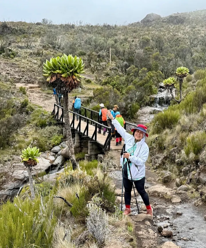 Can you climb Kilimanjaro in December 2026, 2027 & 2028?? 