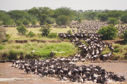 things to do in Serengeti National Park